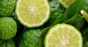 Bergamot