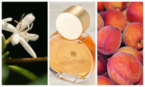 Far Away Perfume