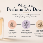 What Is Perfume Dry Down